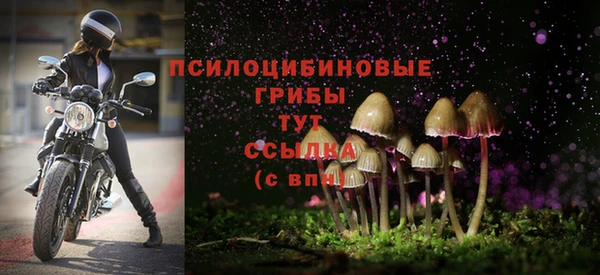 скорость Белокуриха