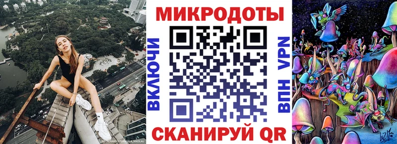 Галлюциногенные грибы Psilocybe  Шилка 